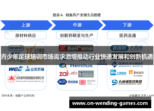 青少年足球培训市场需求激增推动行业快速发展和创新机遇